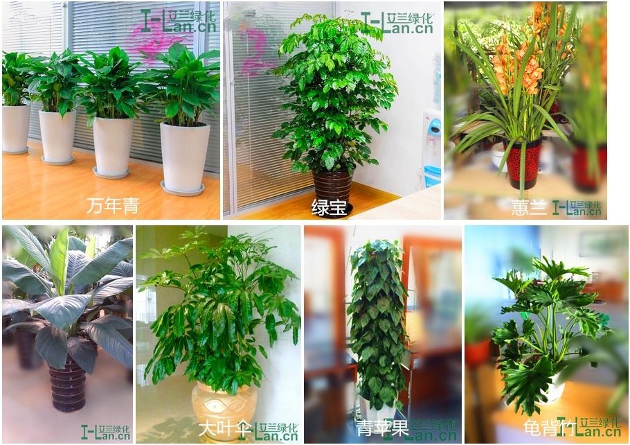 首页| PG电子游戏中国区官方网站