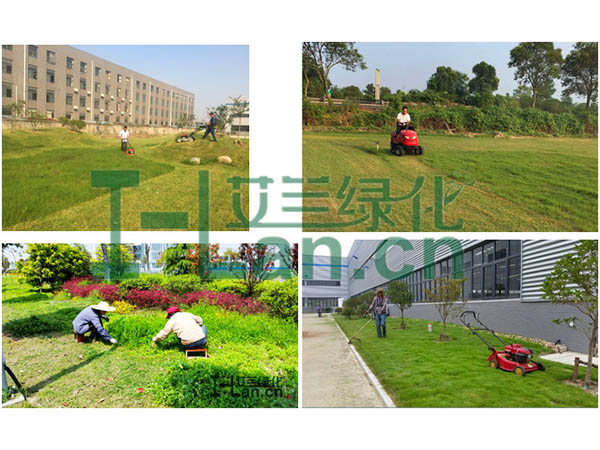 城市园林绿化的重点有哪些？